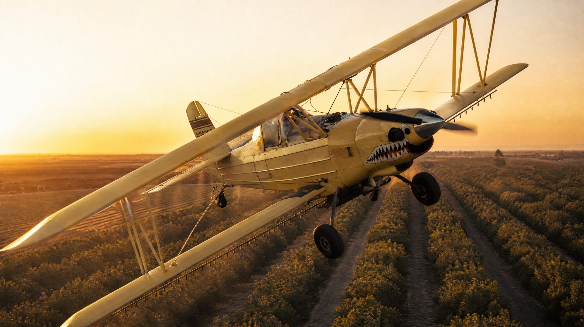 Ag Cat banking over walnut orchard rows