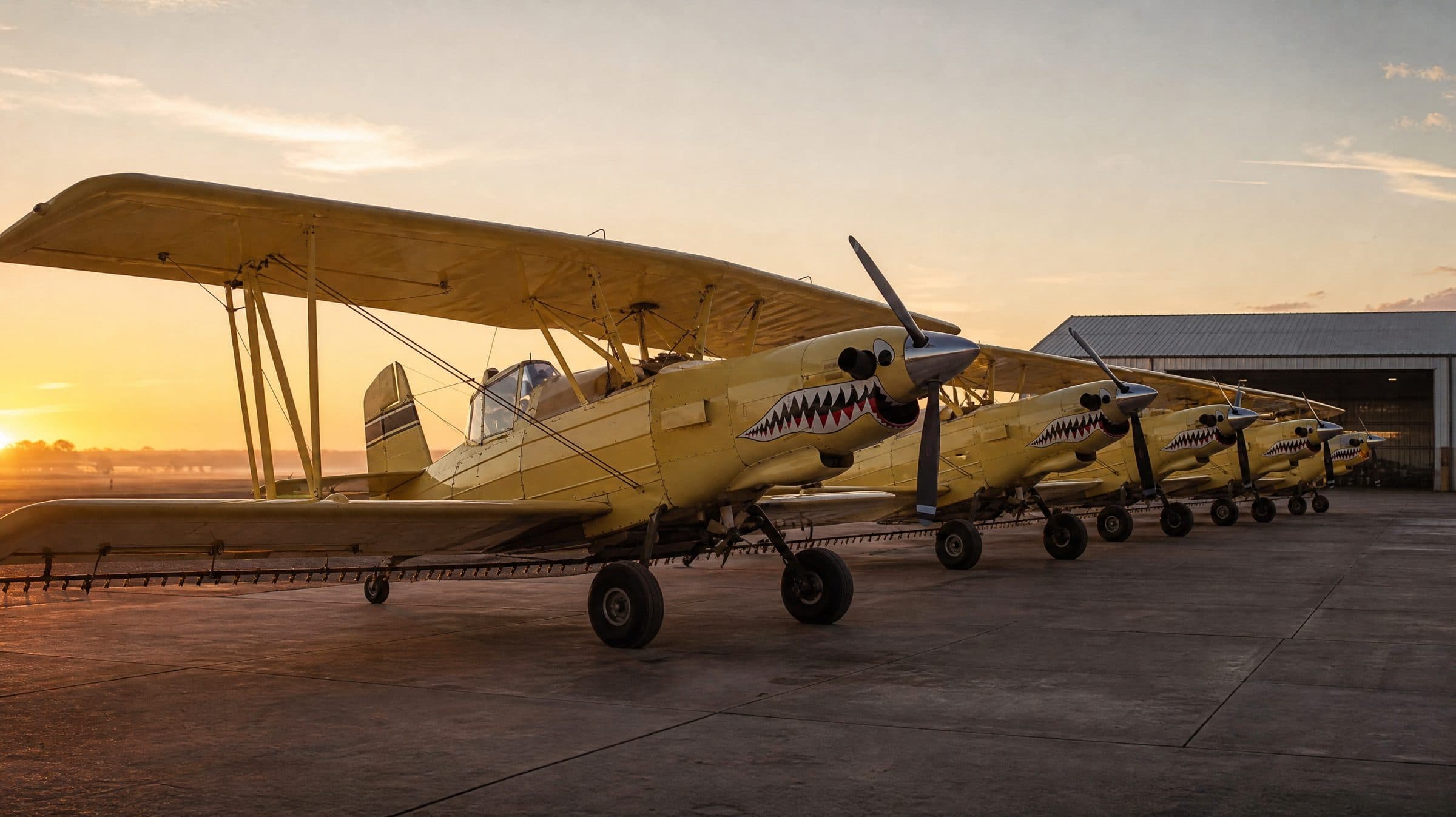 The heart of the fleet. Purpose-built ag biplanes.