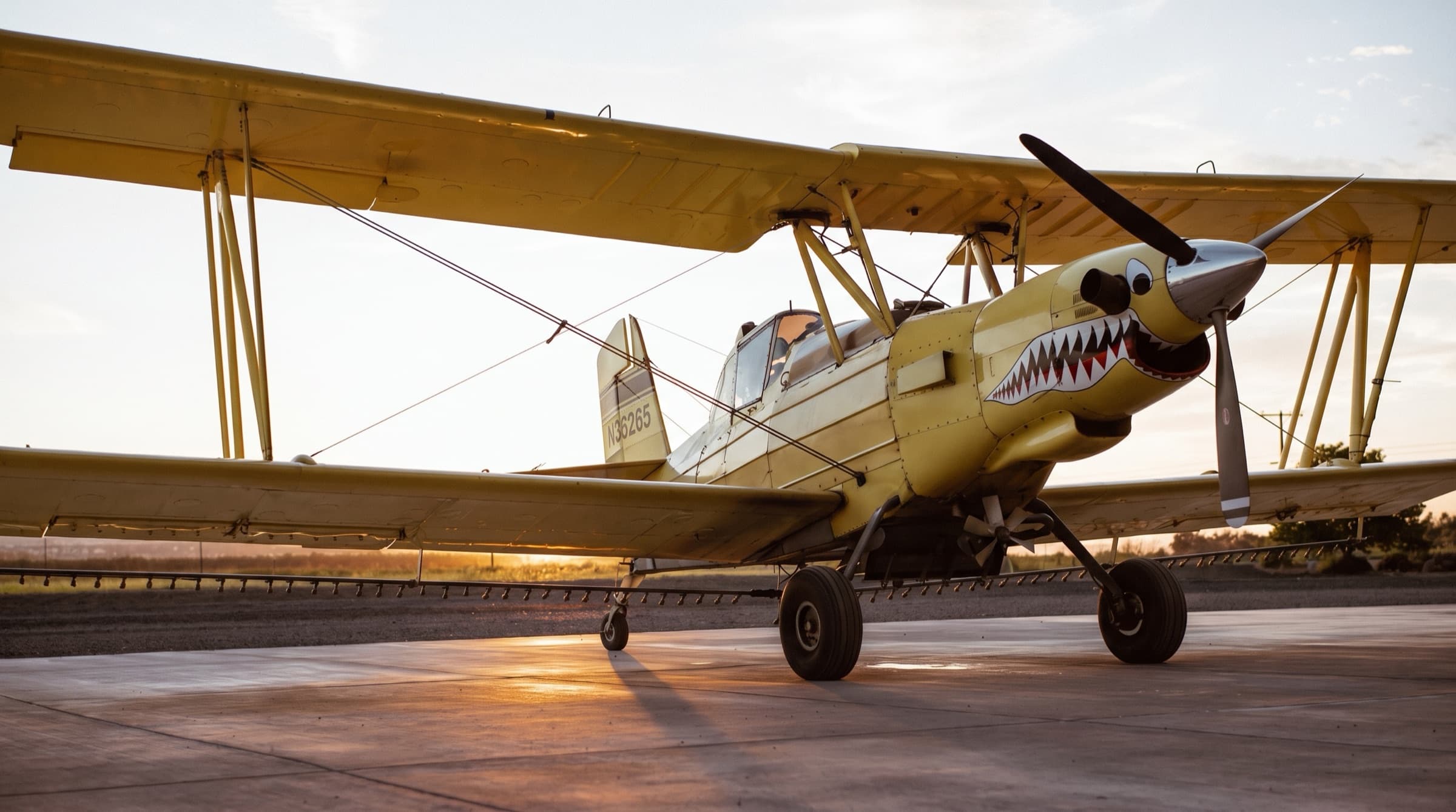 A yellow Ag Cat biplane with shark-mouth nose art and a polished spinner stands on a concrete ramp under a clear morning sky, with its spray boom visible under the lower wing.